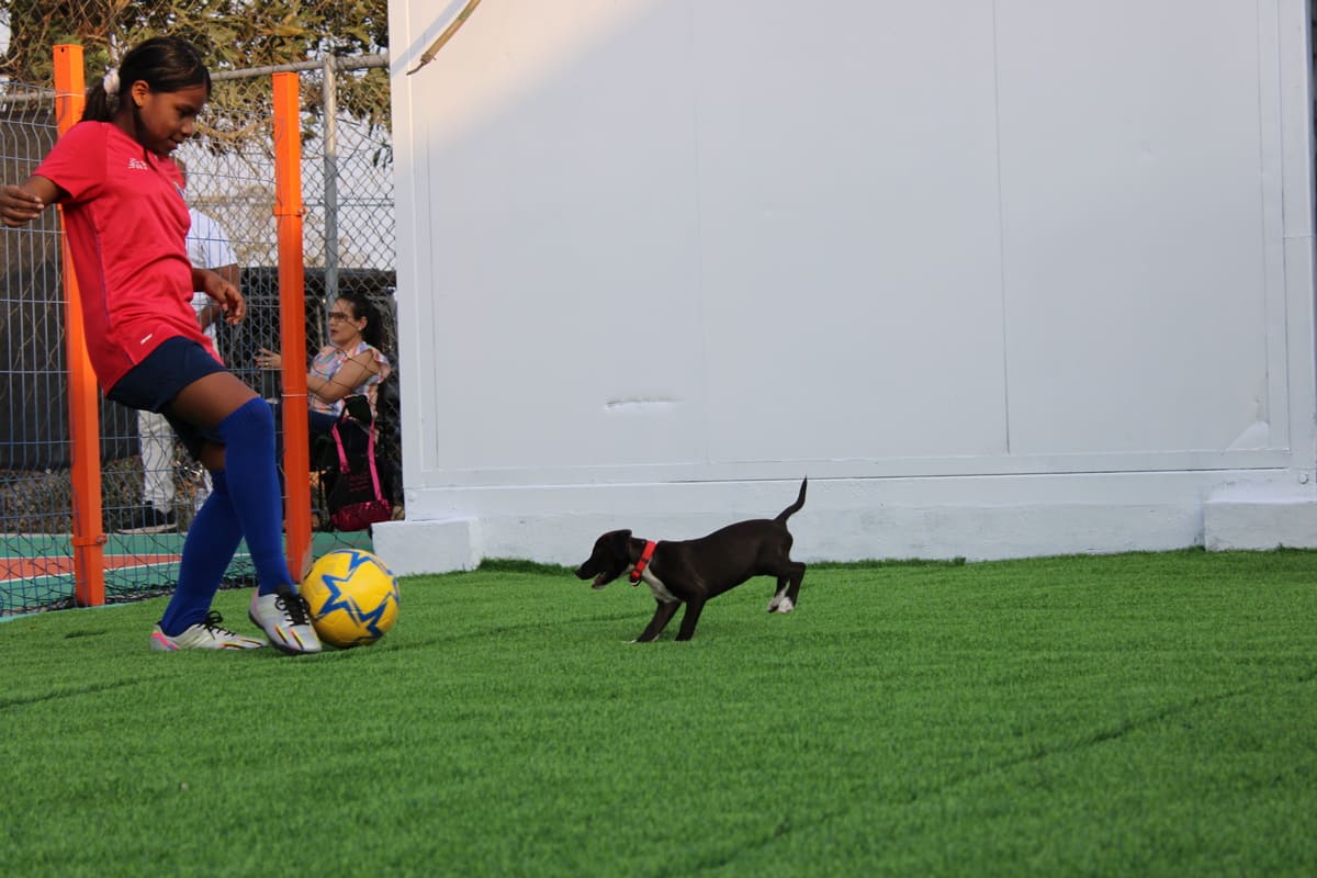 Infiniti Sport Center